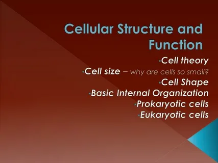 Cellular  Structure and function